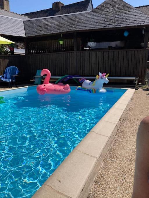 Cosy Piscine Rocherfort En Terre Centre *